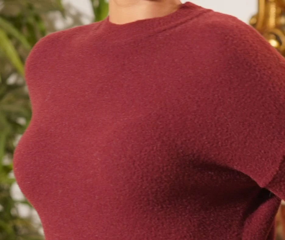 Bordeaux Cropped Textured Mock Neck Sweater - Image 5